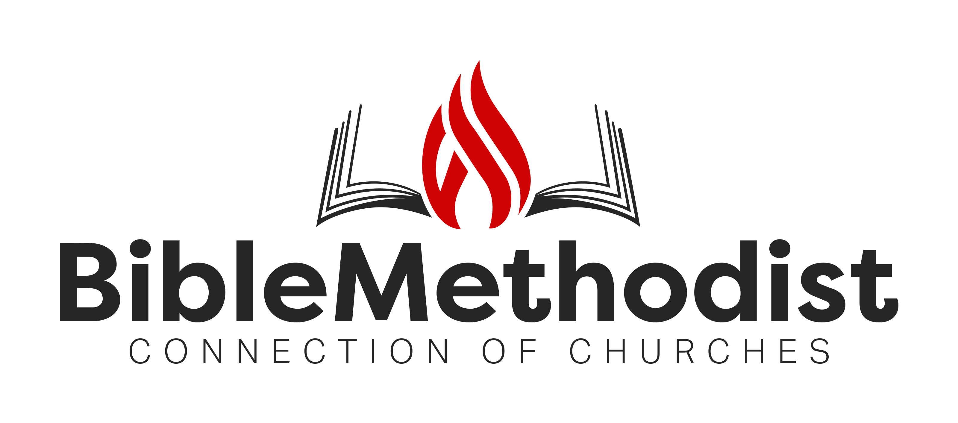 Methodist Logo Vector at Vectorified.com | Collection of Methodist Logo ...