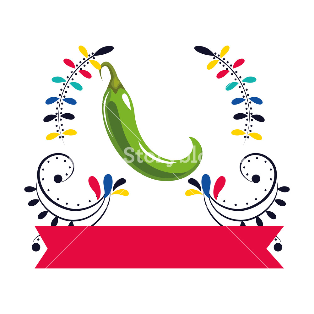 1000x1000 Mexican Culture Festival Pepper Ribbon Banner Cartoon Vector