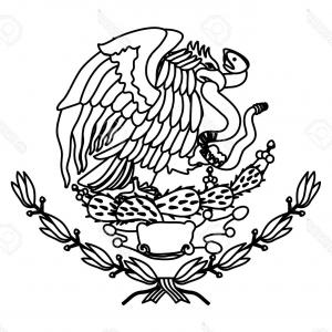 Mexican Eagle Vector at Vectorified.com | Collection of Mexican Eagle ...