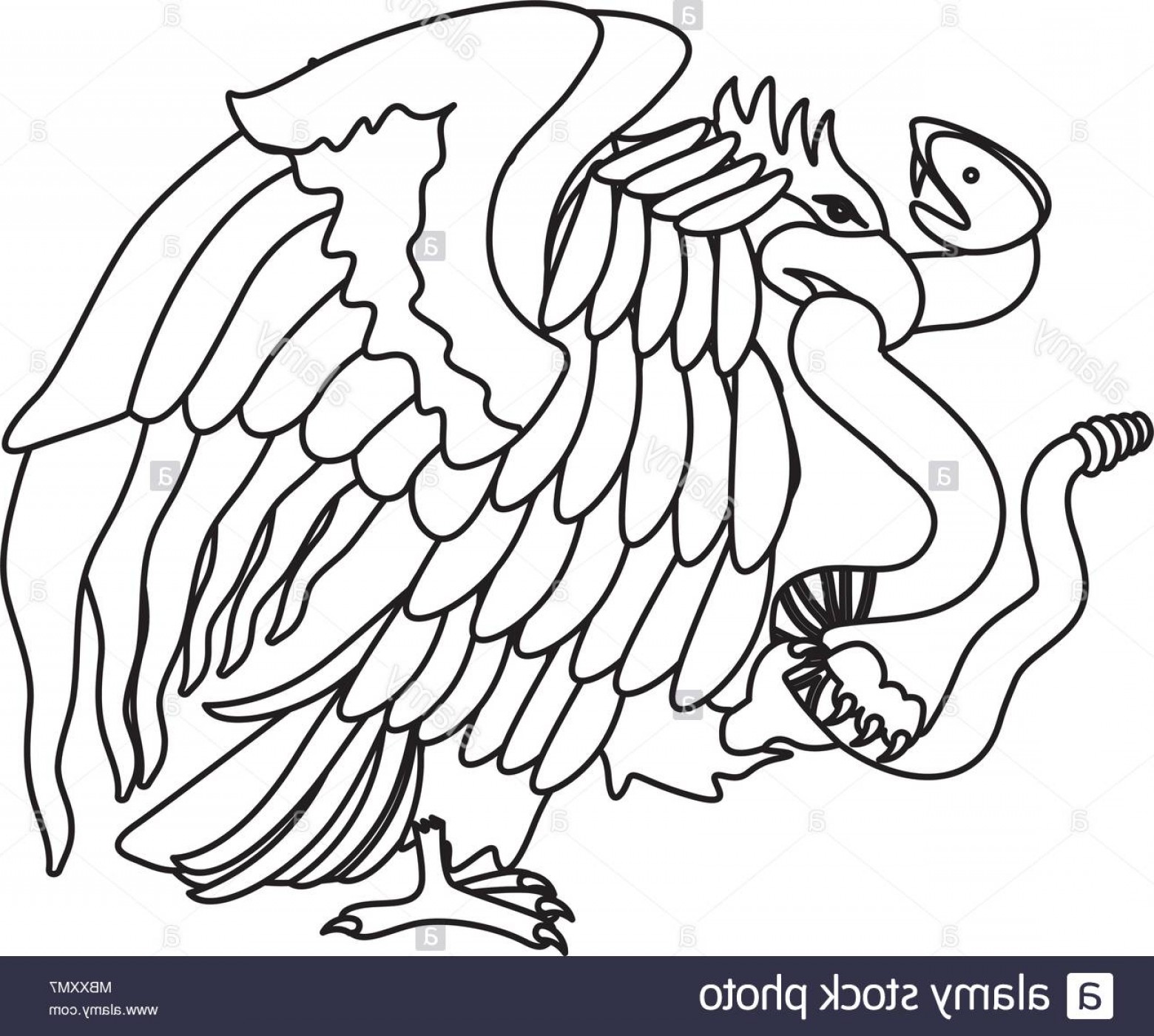 1560x1400 Mexico Eagle Vector Hoodamathrun