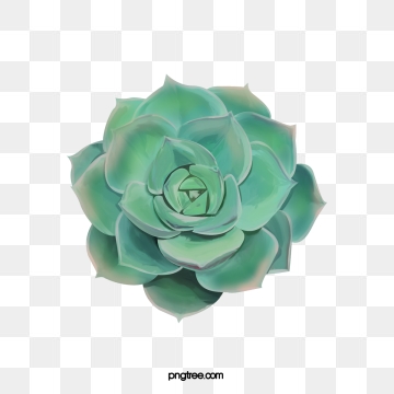 360x360 Succulent Png, Vector, And Clipart With Transparent