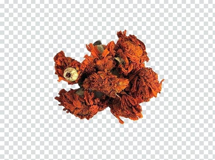 728x542 Mexican Flowers Vector Free