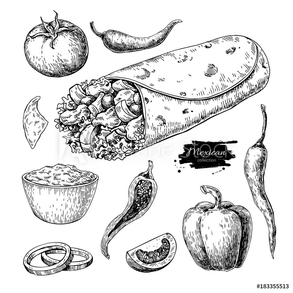 1000x1000 Valokuva Burrito Drawing Traditional Mexican Food Vector