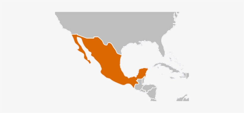 Mexico Vector Map