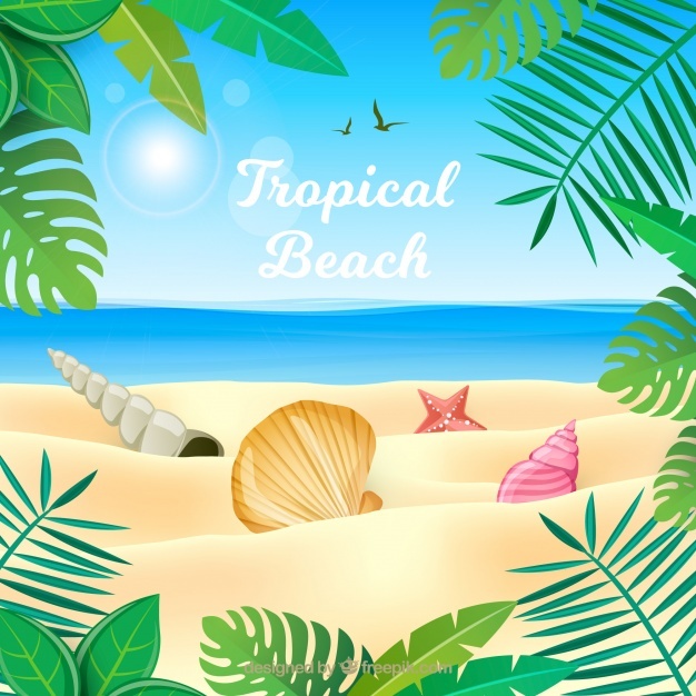 626x626 Miami Beach Vectors, Photos And Free Download