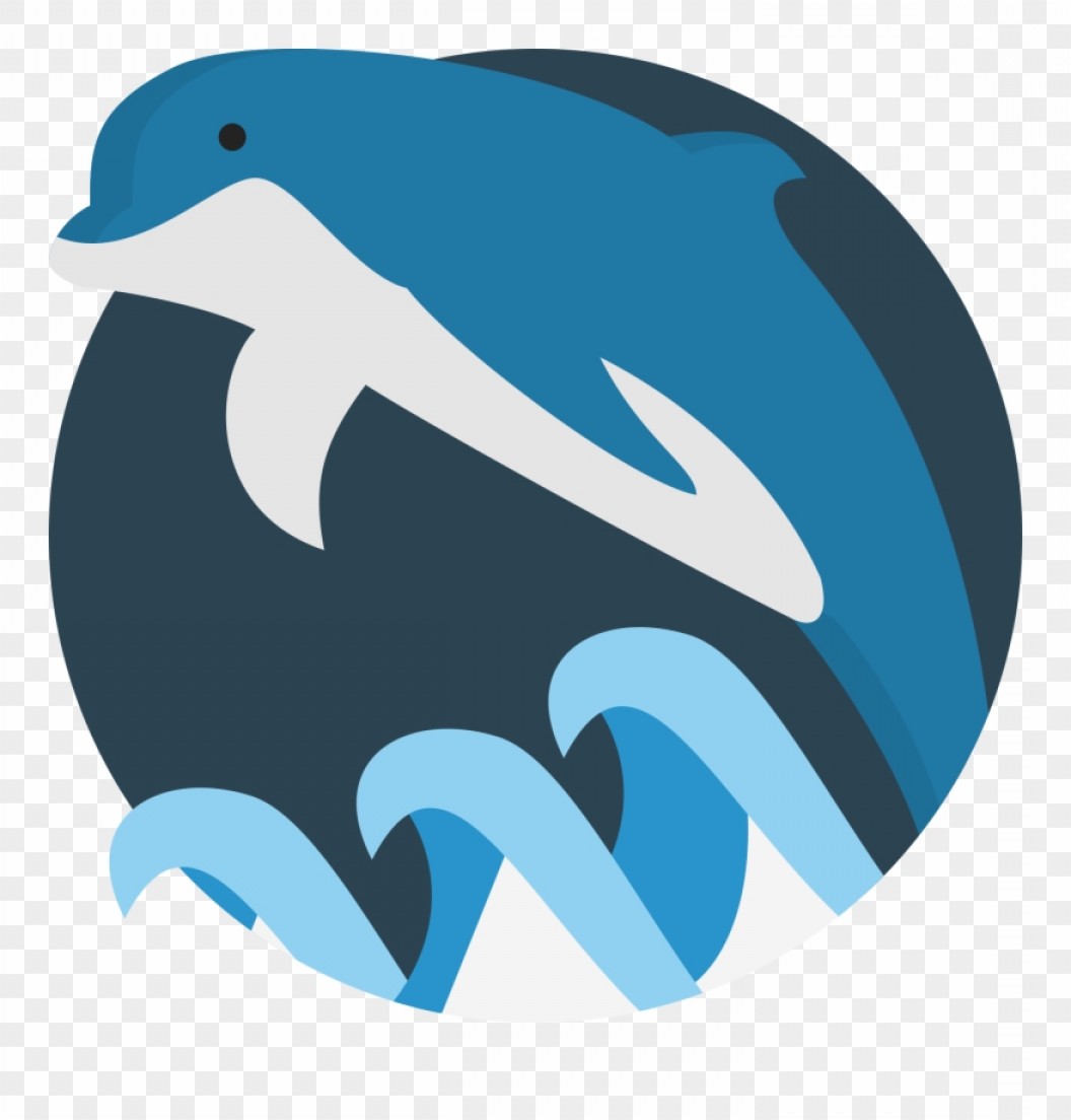 1056x1104 Miami Dolphins Vector Hoodamathrun