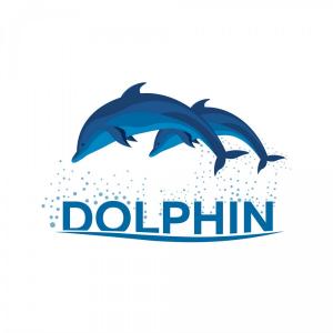 300x300 Png Miami Dolphins United States Sport Nfl Coach Rise Catchsplace