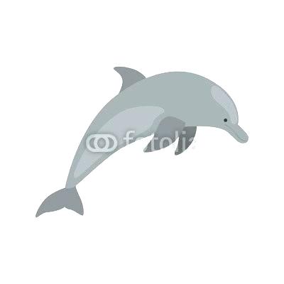 400x400 Dolphins Pictures To Color
