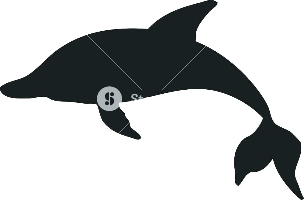 1000x658 Miami Dolphins Colors