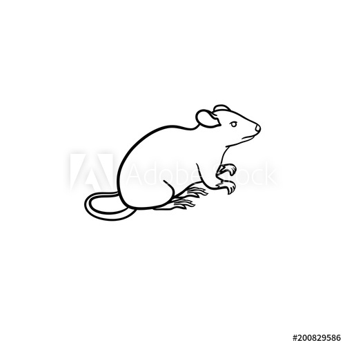 500x500 Lab Rat Hand Drawn Outline Doodle Icon Mice Vector Sketch