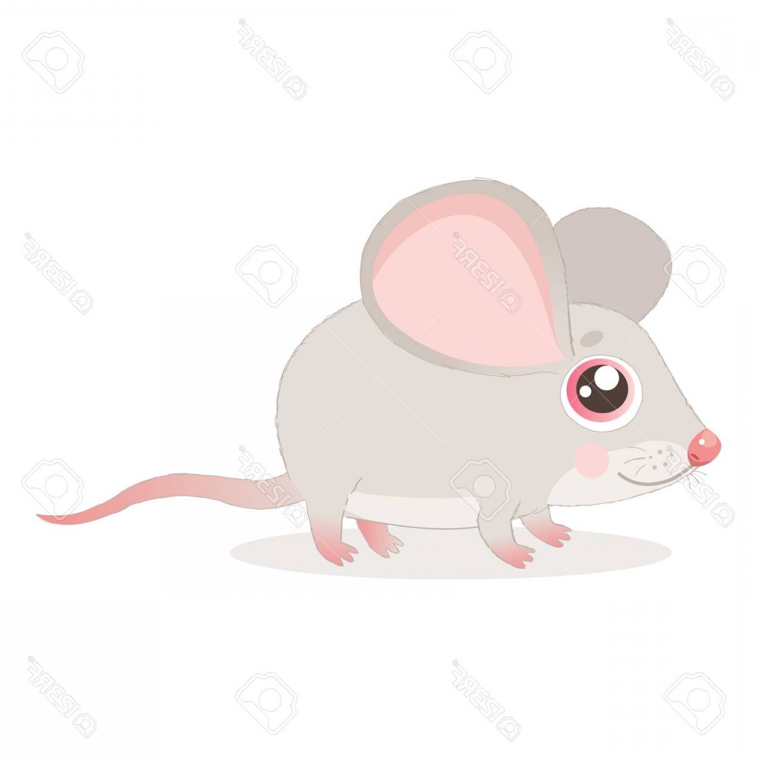 1560x1560 Cute Mouse Vector Handandbeak