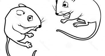 367x195 Outlines Of Cartoon Mice Vector Archives