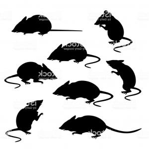 300x300 Silhouettes Of Mice Vector Gm Geekchicpro