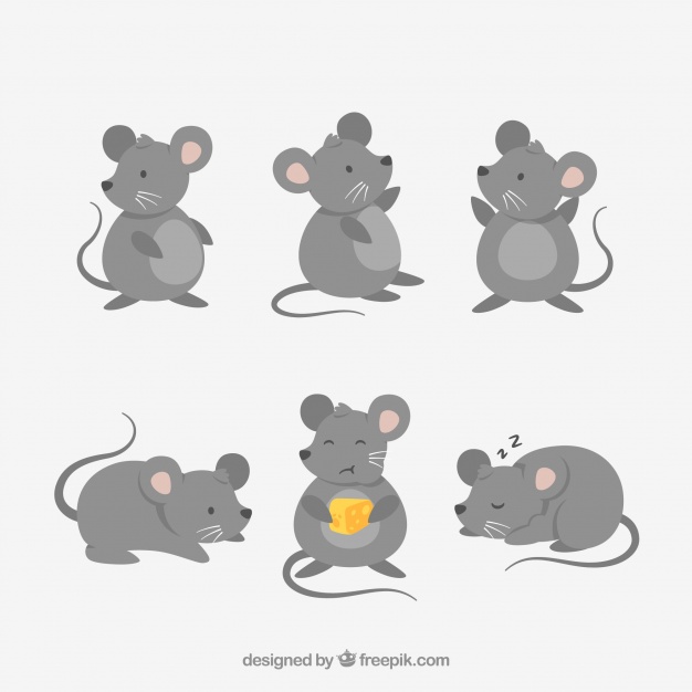 626x626 Flat Mice Collection Vector Free Download