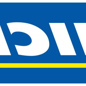 Michelin Tires Logo Vector Png Sarahgardan 300x300 Michelin Tires Logo Vector Png Sarahgardan