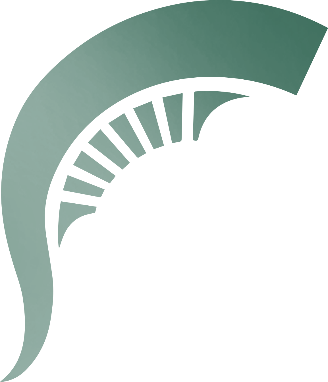 1154x1343 Design And Visual Identity The Msu Brand Michigan State University