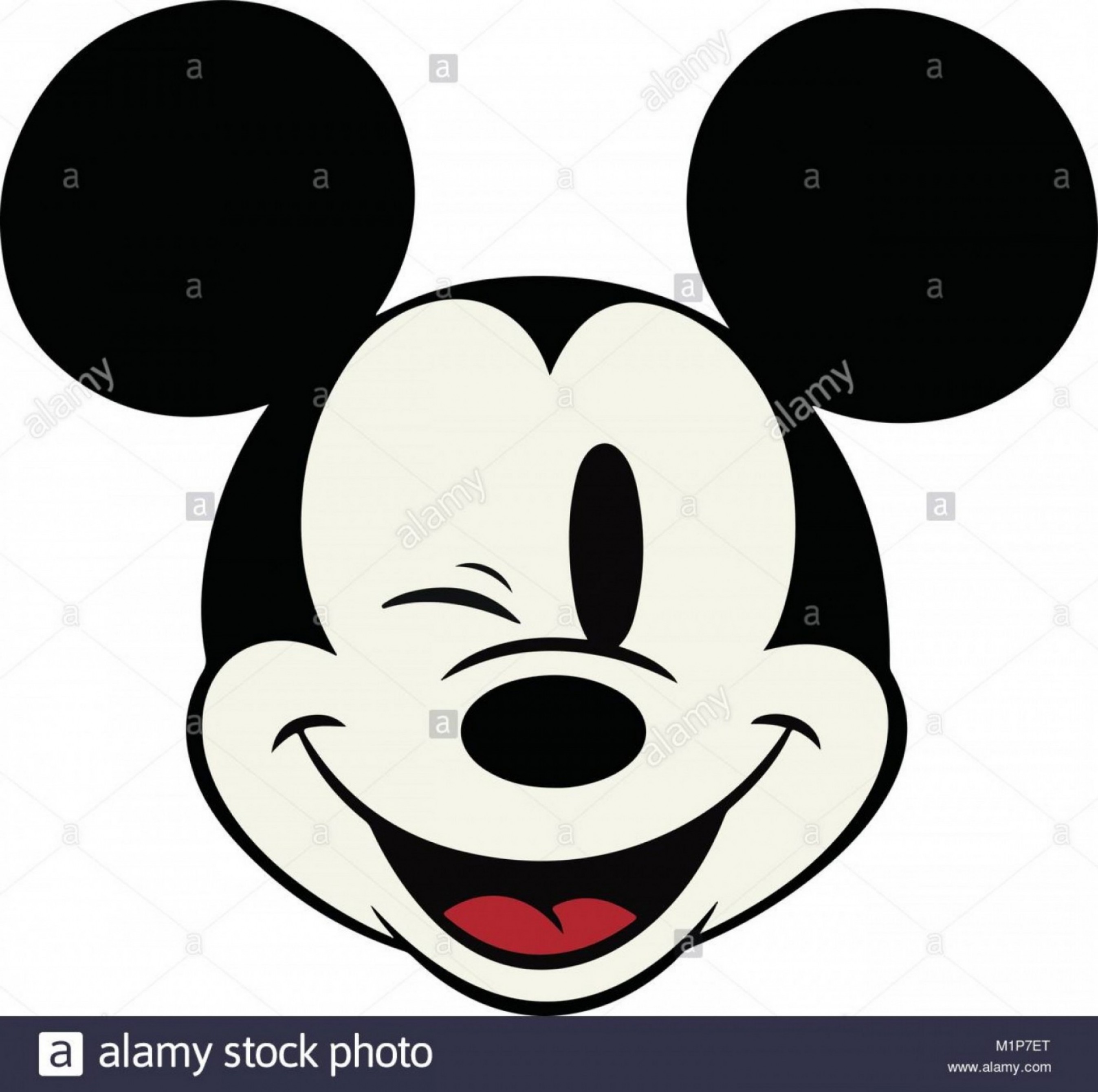 2695x2680 Minnie Head Castle Vector Hoodamath