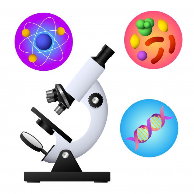 626x626 Microscope Vectors, Photos And Free Download