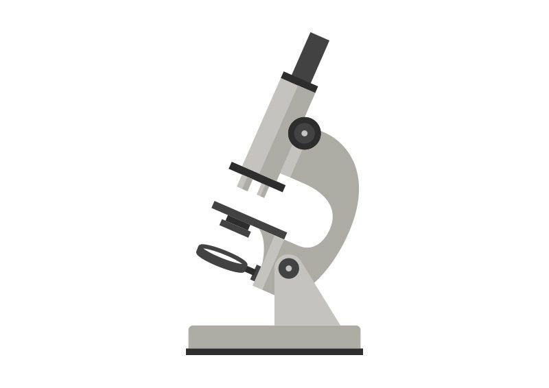 800x566 Microscope Free Flat Vector Illustration Http