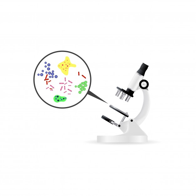 626x626 Microscope Vectors, Photos And Free Download