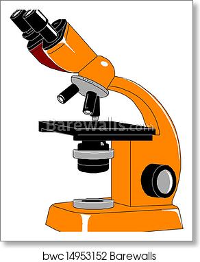 292x382 Microscope, Vector Illustration Art Print Barewalls Posters