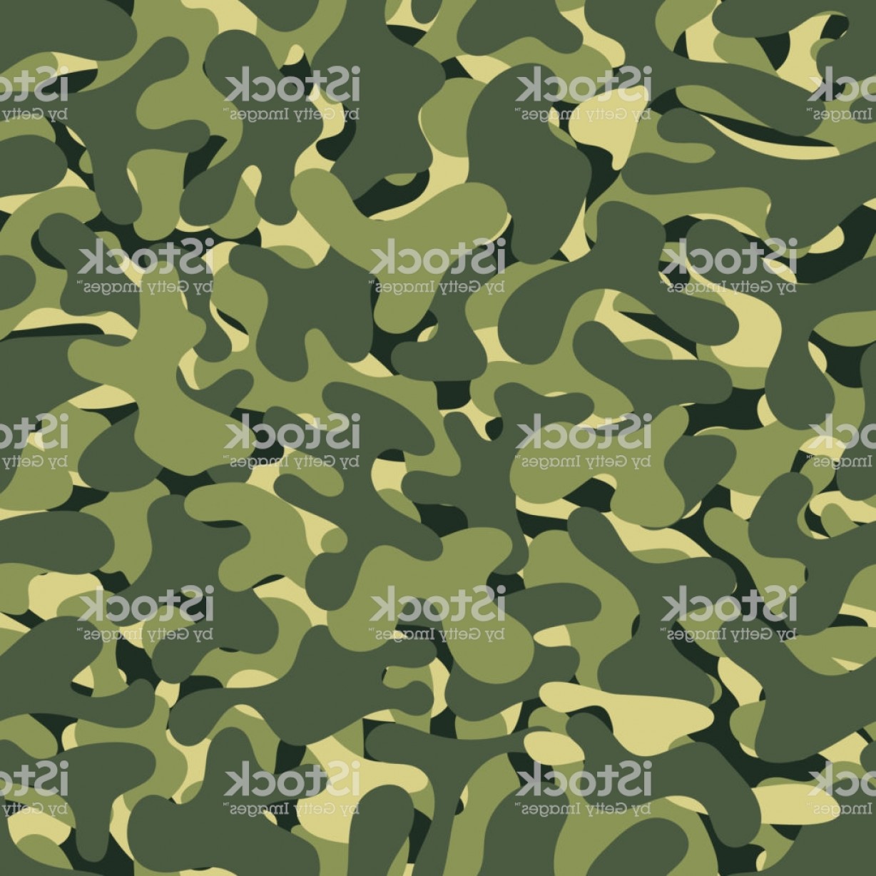 1228x1228 What Are Vectors From The Military Cultracing