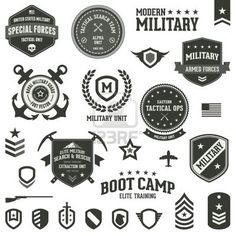 Military Insignia Vector