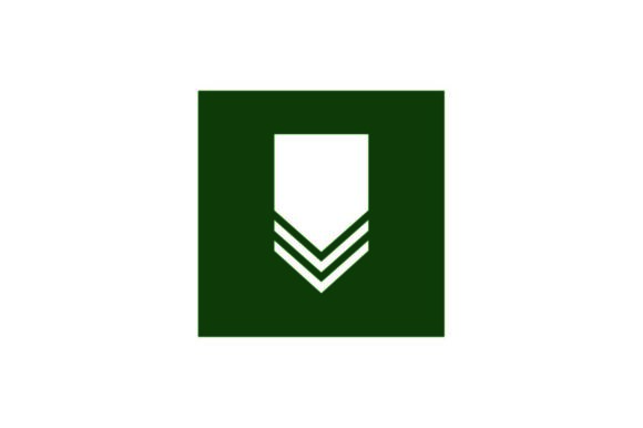 580x386 Military Insignia Icon On Green Square
