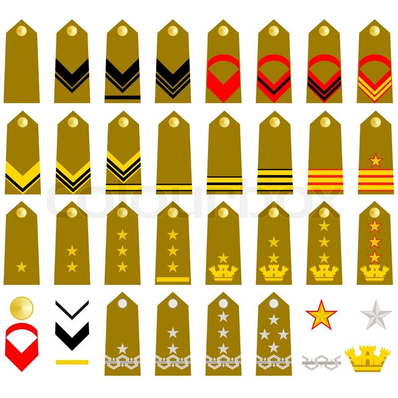 800x800 Military Epaulettes And Insignia Stock Vector Colourbox