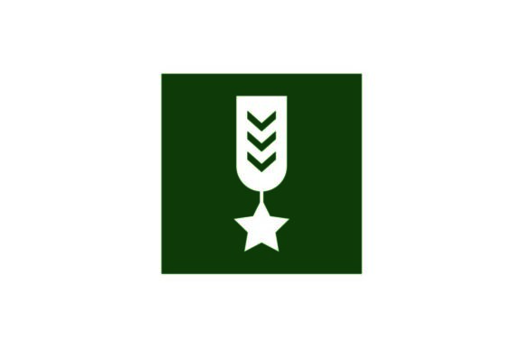 580x386 Military Emblem Icon On Green Square