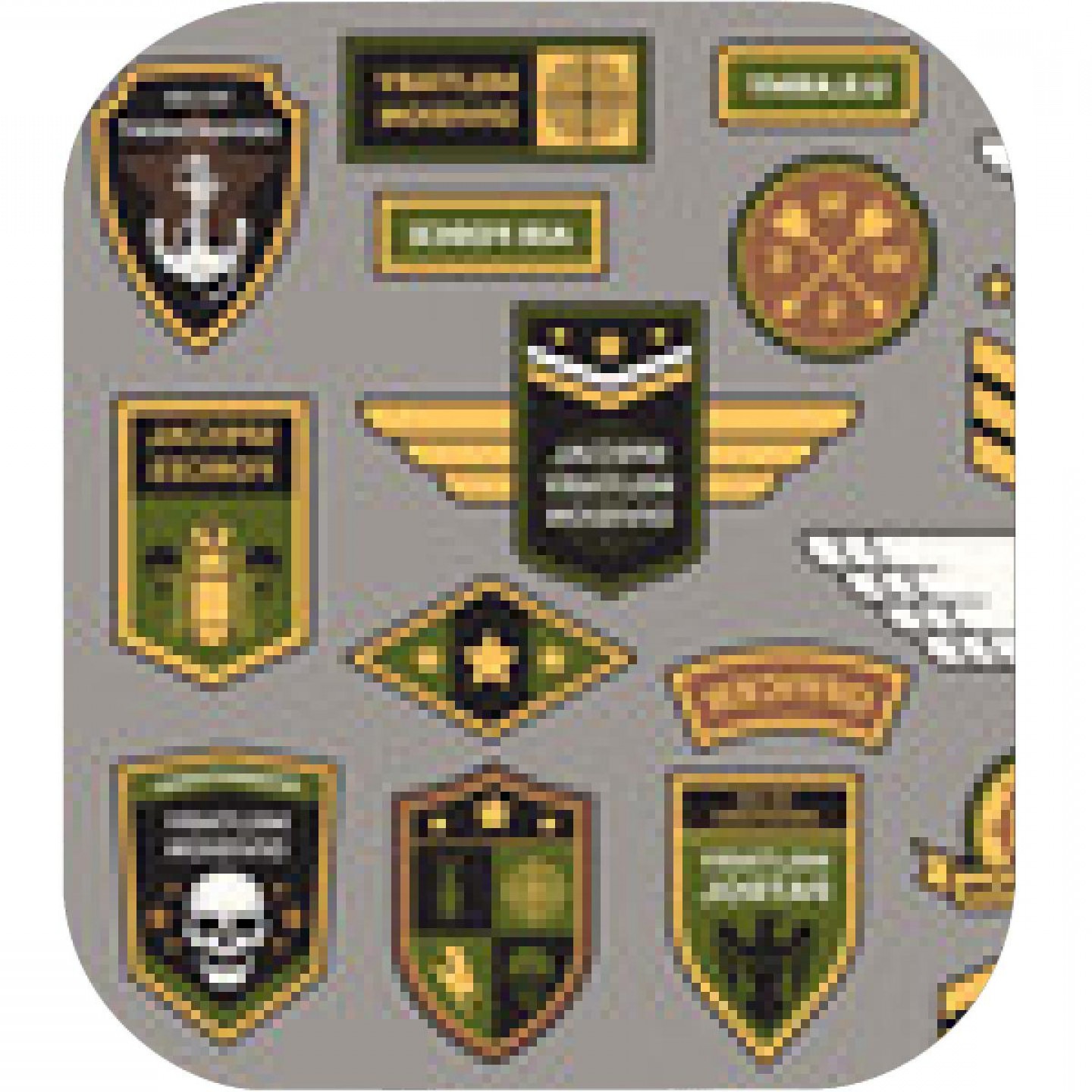 1440x1440 Army Badges Military Patch Air Force Captain Sign And Paratrooper