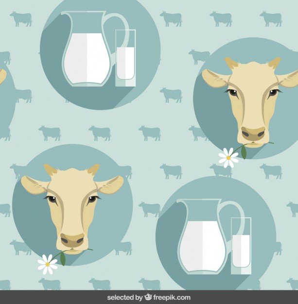 613x626 Pattern With Cow Heads And Milk Jug Vector Free Download