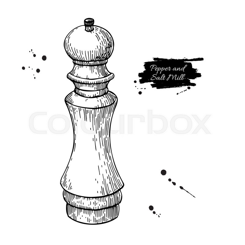 800x800 Pepper And Salt Mill Vector Drawing Stock Vector Colourbox