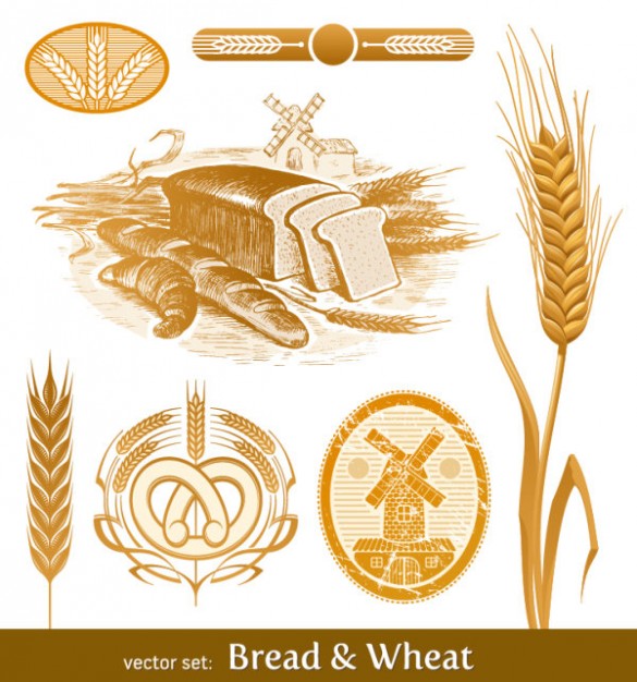 585x626 Bread, Wheat And Mill Vector