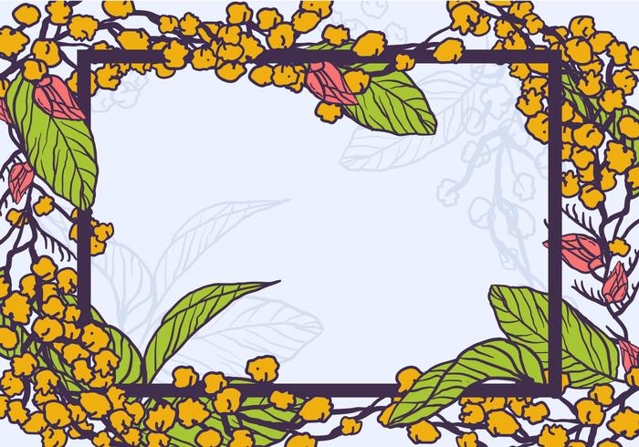 700x490 Mimosa Free Vector Art