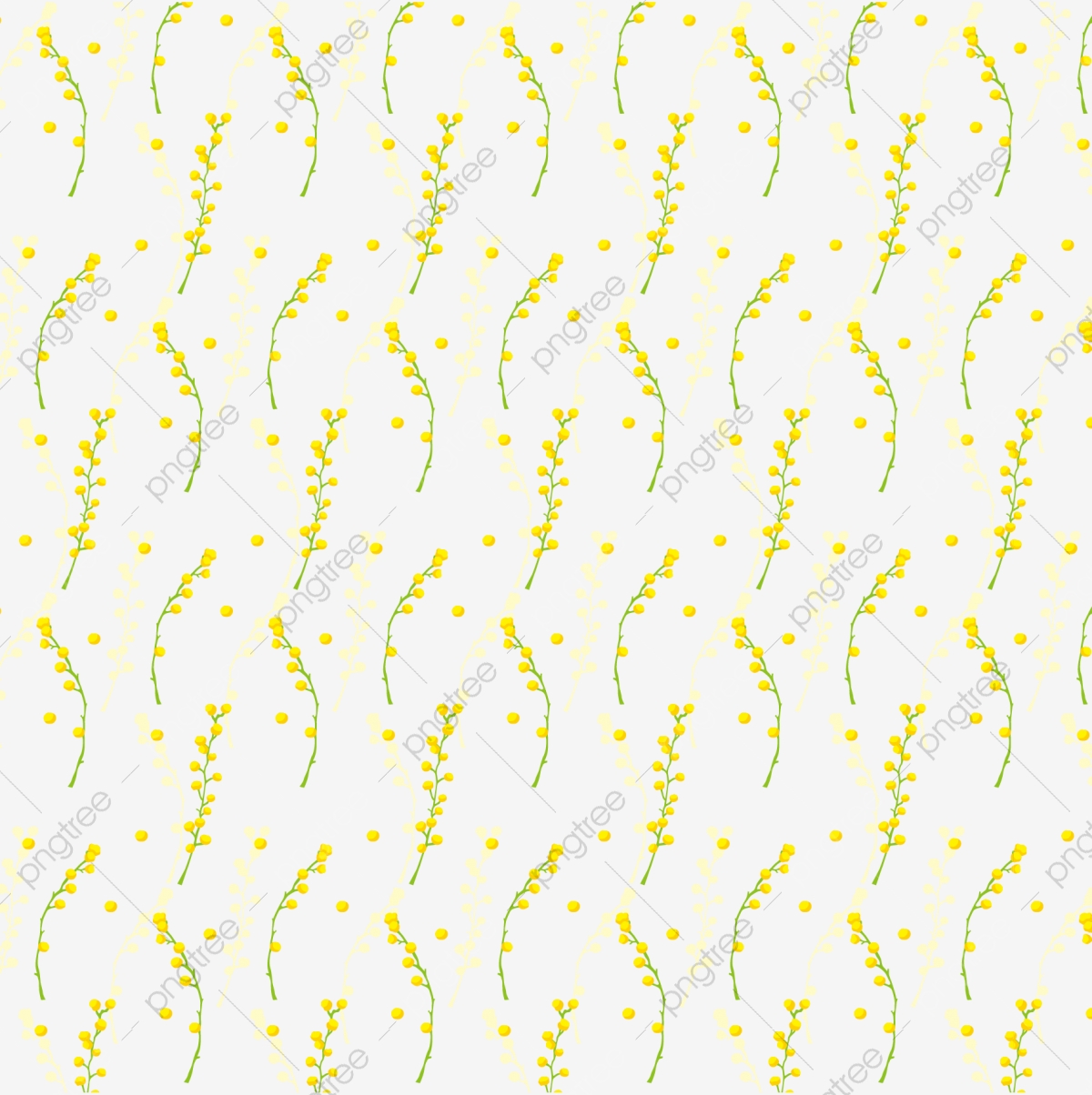 1200x1204 Vector Mimosa, Vector Diagram, Mimosa, Plant Png And Vector