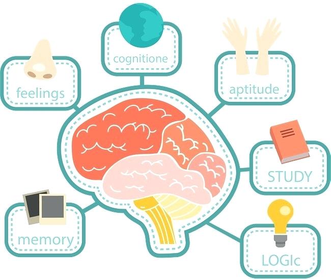 650x548 Creative Mind Mapping Idm