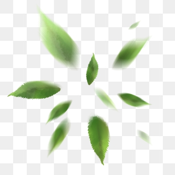 360x360 Mint Green Png, Vector, And Clipart With Transparent