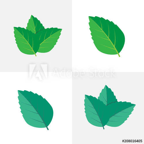 500x500 Mint Green Vector Illustration Mint Leaves Vector Logo