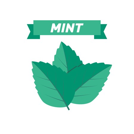 450x450 Mint Leaves Flat Vector Color Icon Template Royalty Free Vector