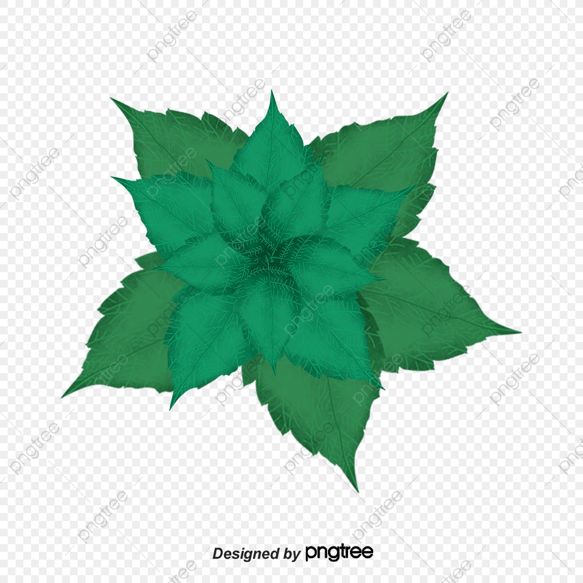 1200x1200 Mint Leaf, Vector Mint Leaves, Leaves Png And Vector