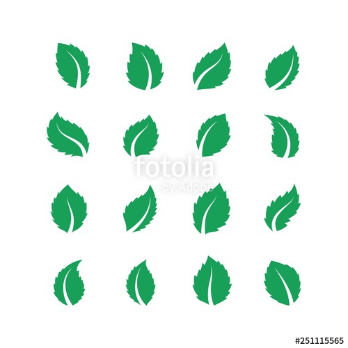 500x500 Mint Leaves Peppermint Melissa Green Leaf, Fresh Eco Food Label