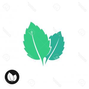 300x300 Fresh Mint Leaf Vector Menthol Healthy Aroma Herbal Nature Plant