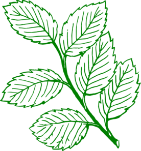 276x297 Green Outlined Mint Leaves Clip Art