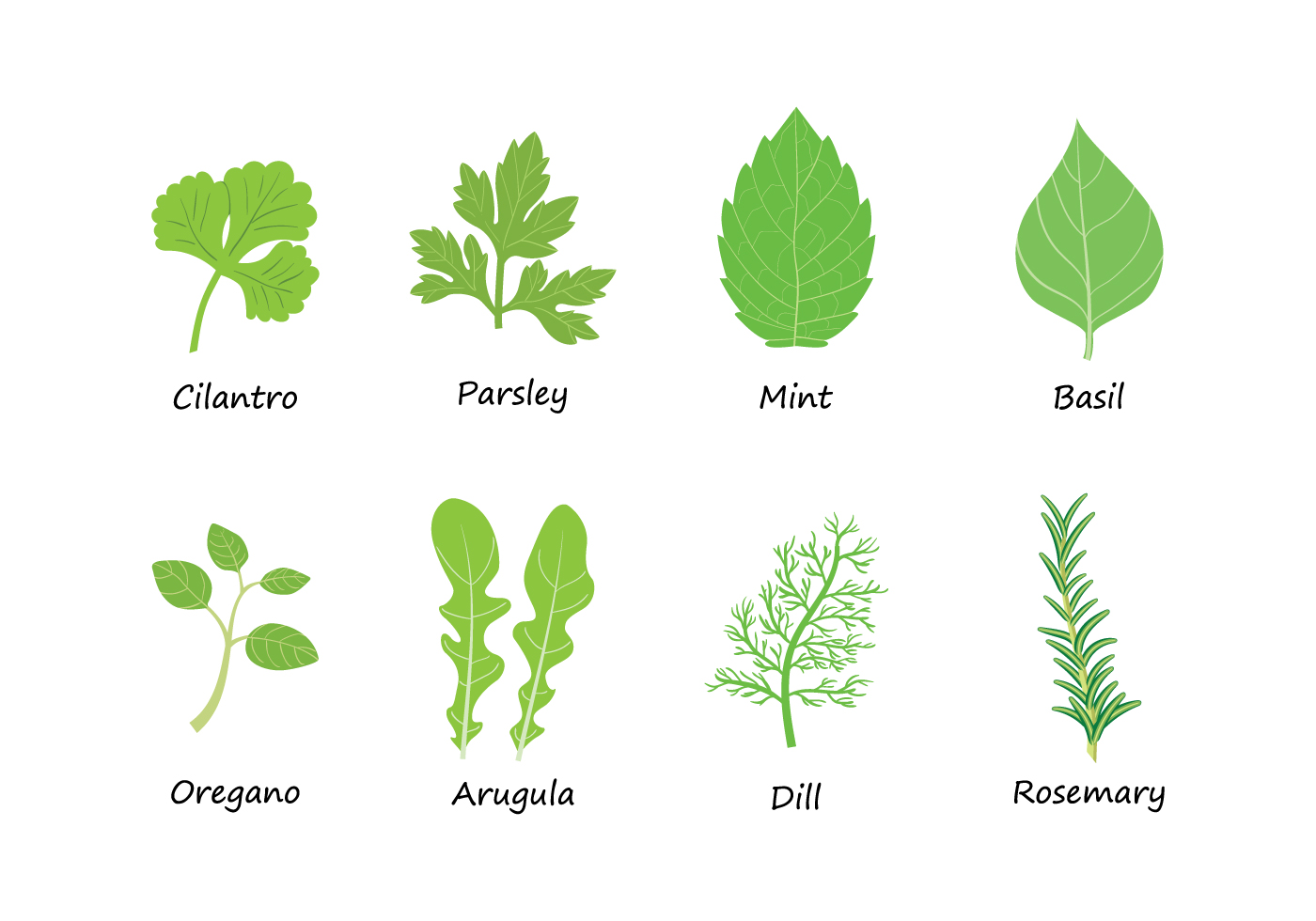 1400x980 Mint Free Vector Art