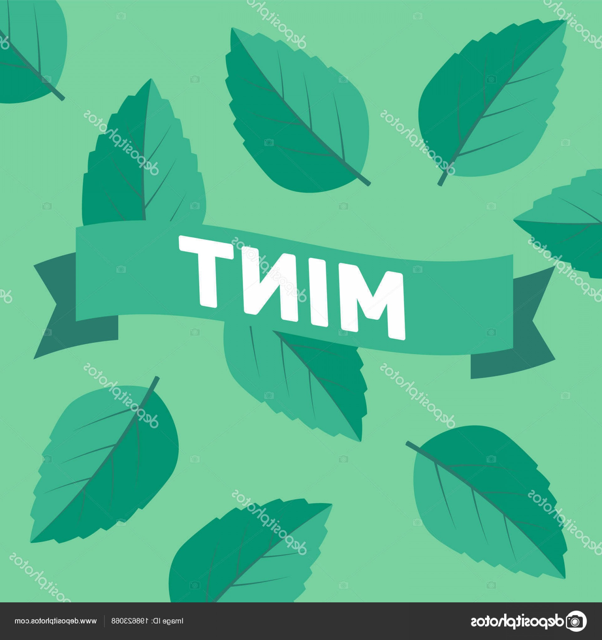 1920x2040 Mint Leaf Vector Studiogrfx