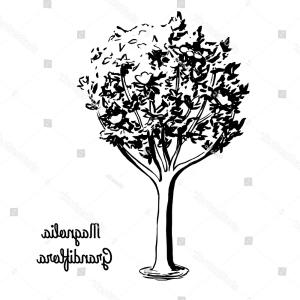 300x300 Stamp Name Mississippi Vector Illustration Hoodamathrun