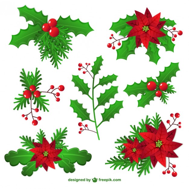 626x626 Mistletoe Vectors, Photos And Free Download