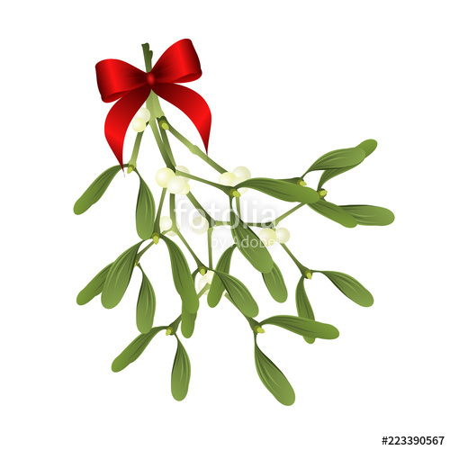 500x500 Mistletoe Vector Illustration Of Mistletoe Sprig With Red Bow