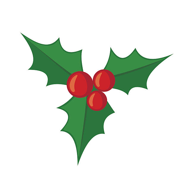 612x612 Christmas Mistletoe Clipart
